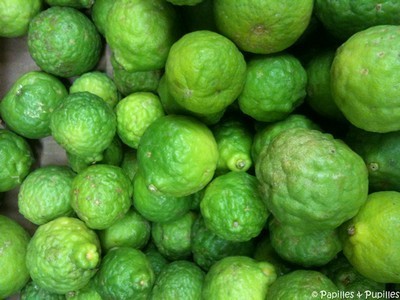 Cumbavas