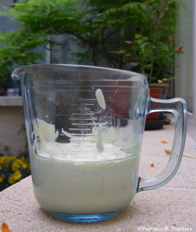 Mayonnaise allégée