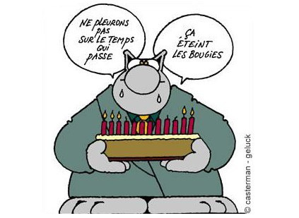 Gâteau d'anniversaire - Le Chat - Geluck