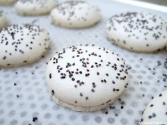 Macarons après cuisson 1