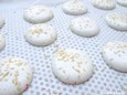 Macarons avant cuisson 2