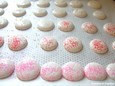 Macarons avant cuisson 3