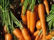 carottes Qu’utilisez-vous pour râper les carottes ?
