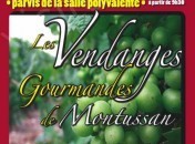 Vendanges gourmandes de Montussan 2è vendanges gourmandes de Montussan