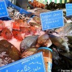 Etal de poissonnier Etal de poissonnier