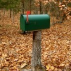 NEwsletter 12 NEwsletter 12