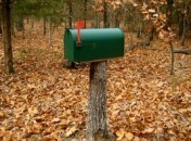 Newsletter 13 – Avril 2008