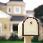 newsletter 11 newsletter 11