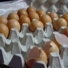 Oeufs