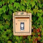 newsletter 3 newsletter 3