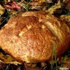 Pain aux flocons d'avoine et au golden syrup - Entier
