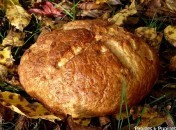 Pain aux flocons d’avoine et au Golden Syrup