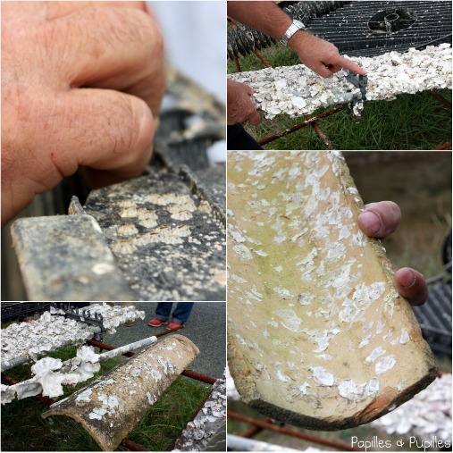 Collecteur d'huitres Marennes Oléron