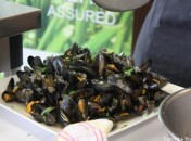 Moules au cidre