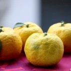 Yuzu