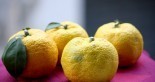 Yuzu