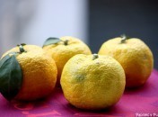 Recette yuzu : Que faire avec du yuzu ?