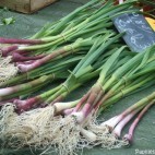 Aillet - Capucins Aillet