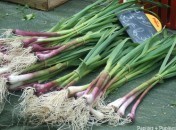 Aillet - Capucins Aillet