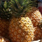 Ananas