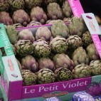 Artichauts - Le petit Violet