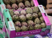 Artichauts – Les petits violets
