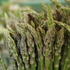 Pointes d'asperges vertes