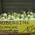 Aubergines blanches
