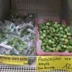 Aubergines vertes rayées