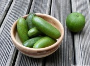 Avocats cocktail Avocat cocktail