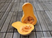 Courge butternut Courge Butternut