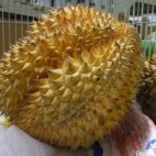 Durian