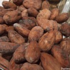 Fèves de cacao