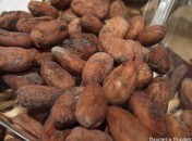 Fèves de cacao Fèves de cacao