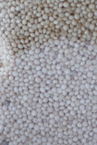 Grains d'amaranthe