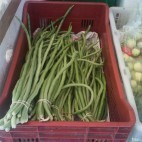 Haricots au kilomètre