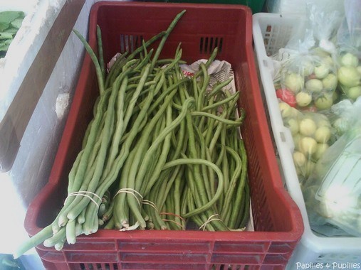 Haricots au kilomètre Haricots au kilomètre