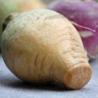 Rutabaga
