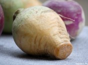 Rutabaga Rutabaga