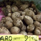 Taro