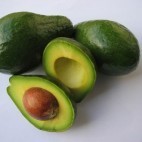 Avocat