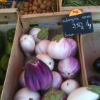 Aubergines - variétés anciennes