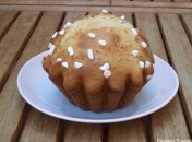 Brioche au sucre casson Brioche au sucre casson