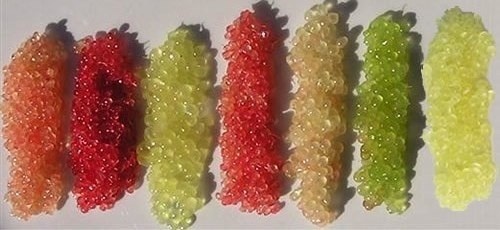 Pulpe de citron caviar ©CSF Pulpe de citron caviar ©CSF