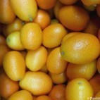 Kumquats