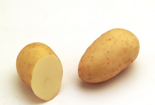 Pomme de terre Charlotte