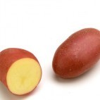 Pomme de terre Chérie