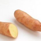 Pomme de terre Corne de Gâte