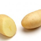 Pomme de terre Princesse Amandine
