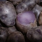 Pomme de terre Vitelotte